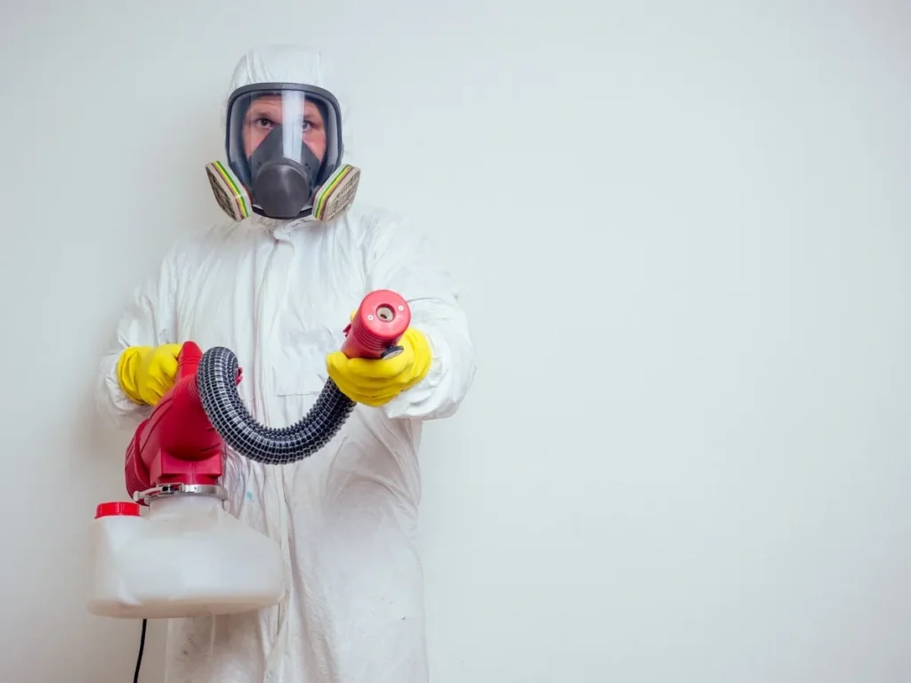 pest inspection benefits