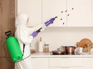 seal cracks pest control