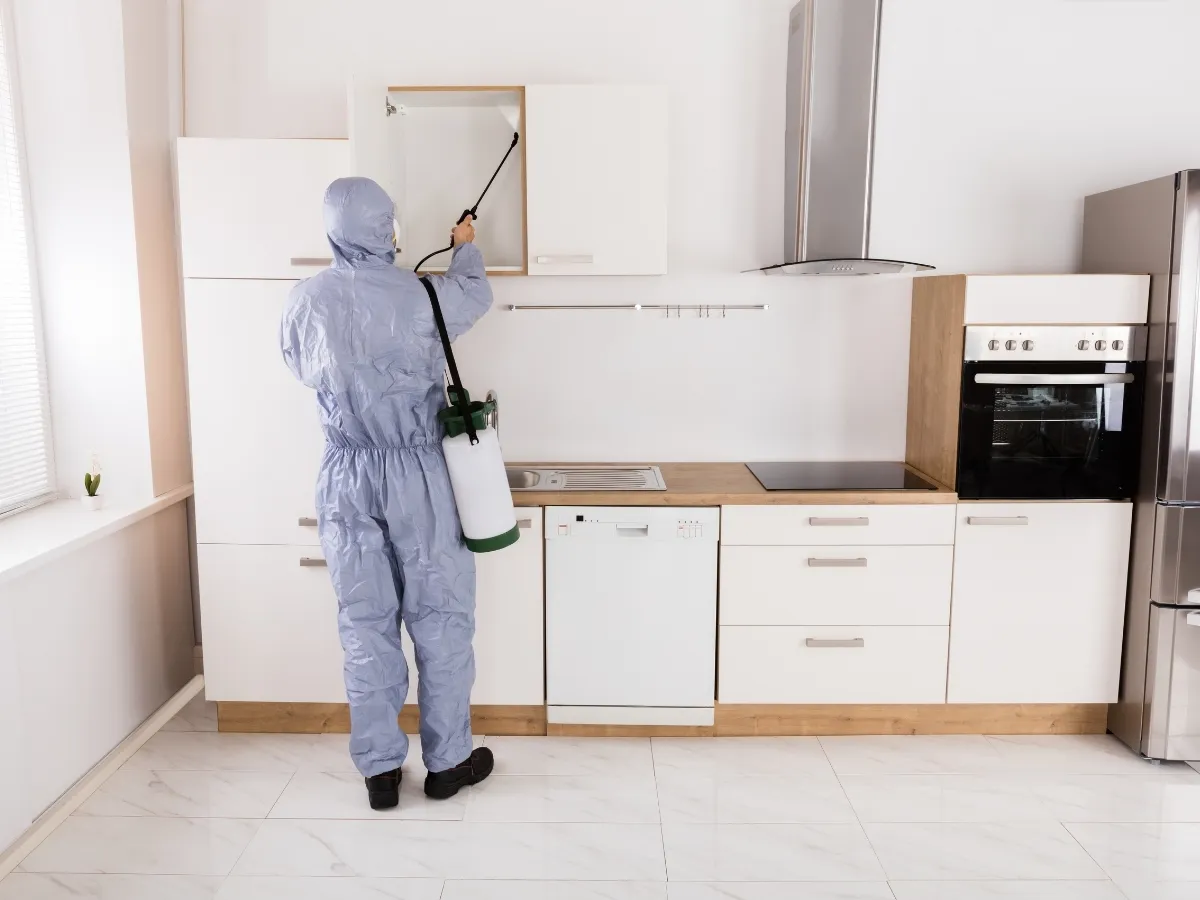 pest control Fraser Valley BC