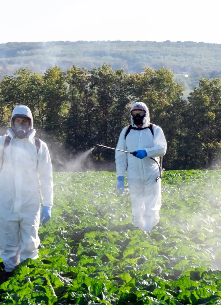 Safe, Reliable & Guaranteed Pest Control Services in Delta Mobile (1)