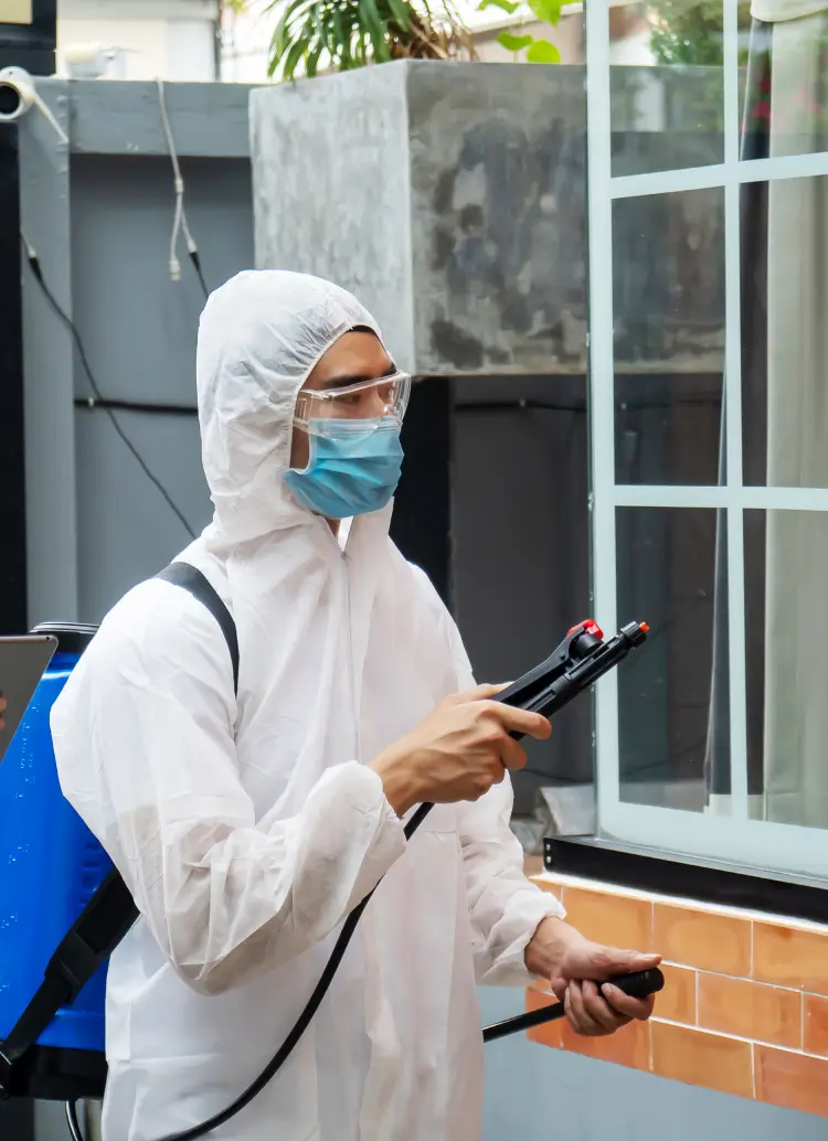 Safe, Reliable & Guaranteed Pest Control Services in Port Coquitlam Mobile (1)