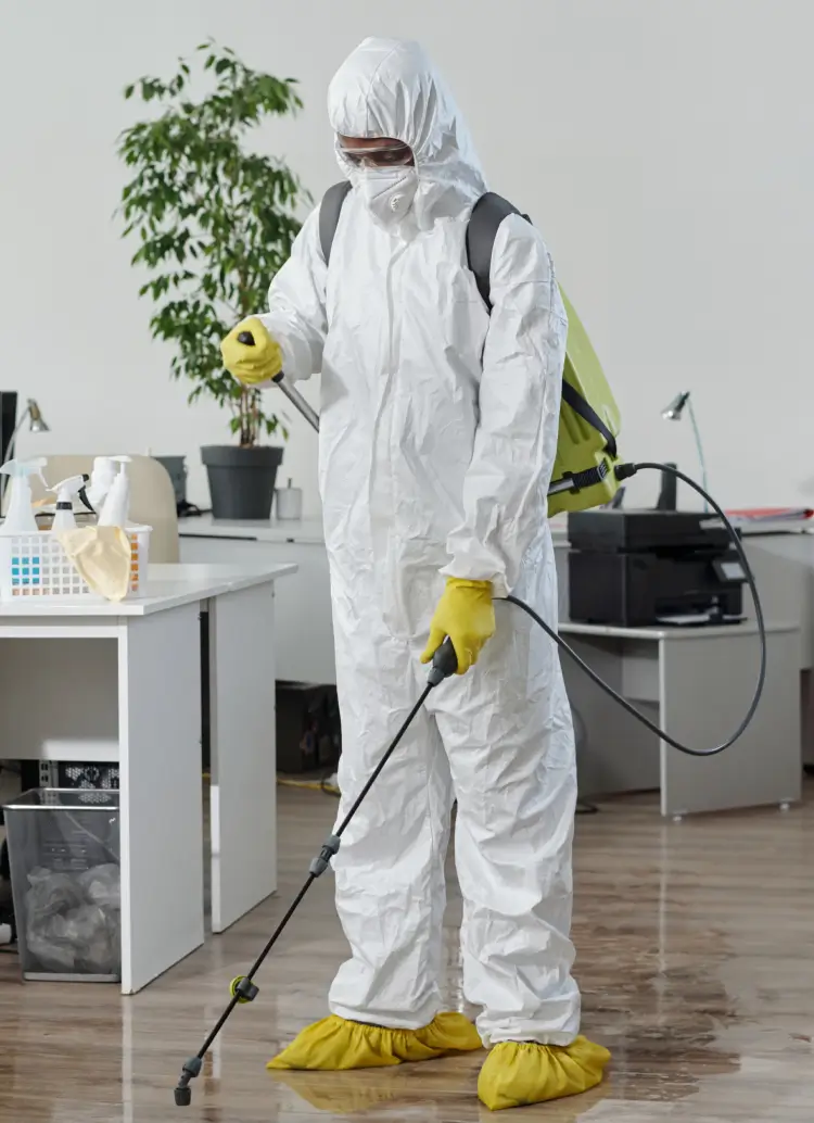 Safe, Reliable & Guaranteed Pest Control Services in Richmond Mobile (1)