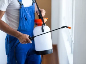 pest control langley